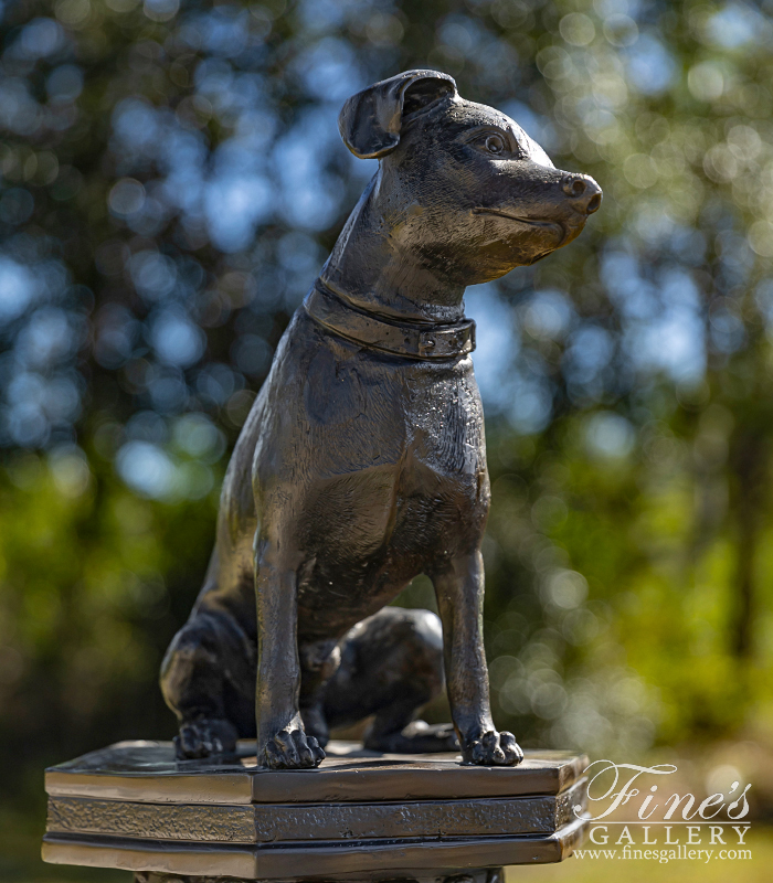 Bronze Statues  - Toy Fox Terrier Bronze Statue - BS-149